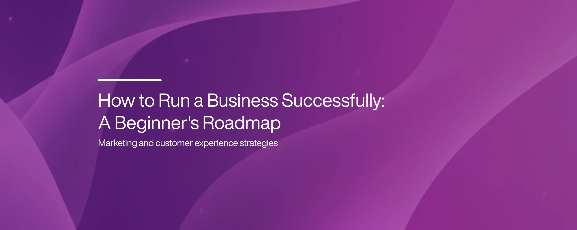 Cover image for How to Run a Business Successfully: A Beginner's Roadmap