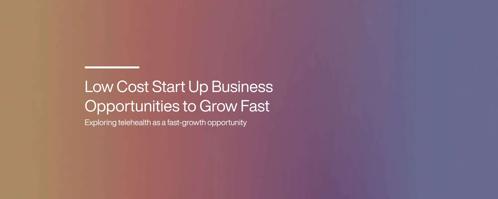 Cover image for Low-Cost Start-Up Business Opportunities to Grow Fast