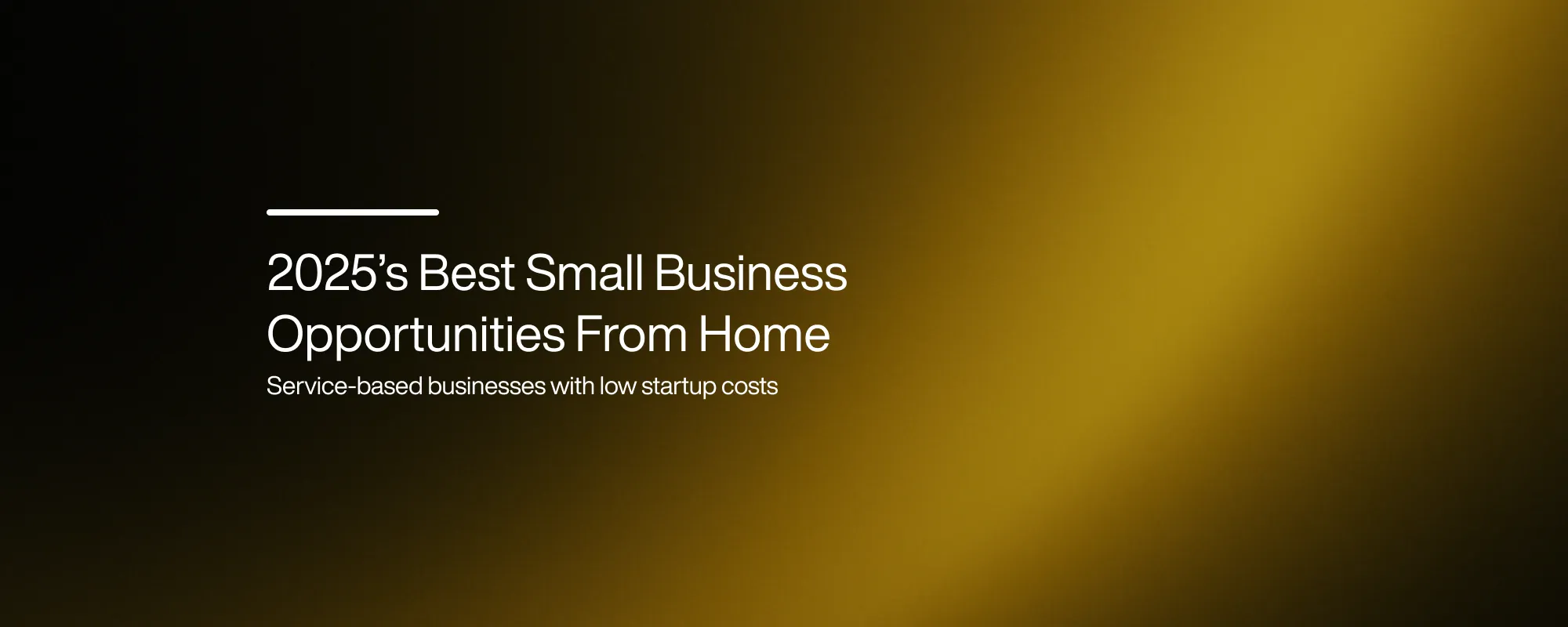 Cover image for 2025’s Best Small Business Opportunities From Home
