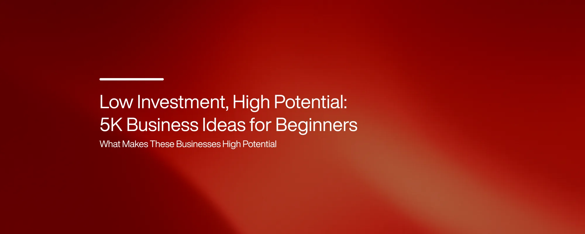 Cover image for 5K Business Ideas for Beginners: Low-Cost Options