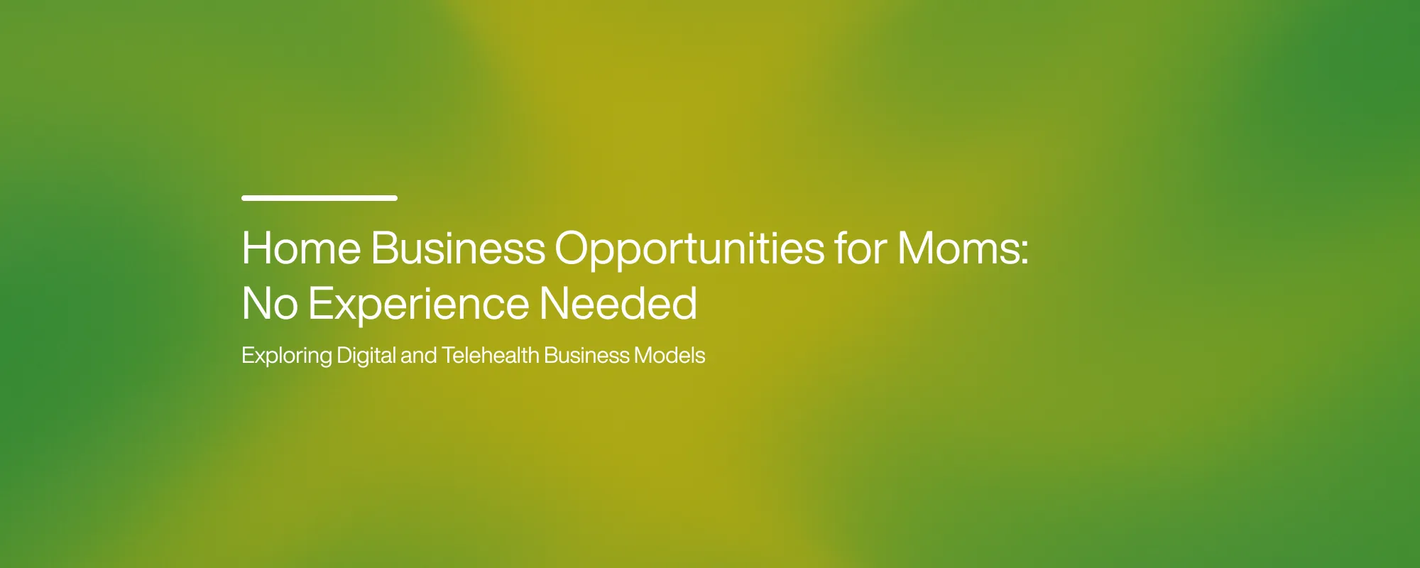 Cover image for Home Business Opportunities for Moms: No Experience