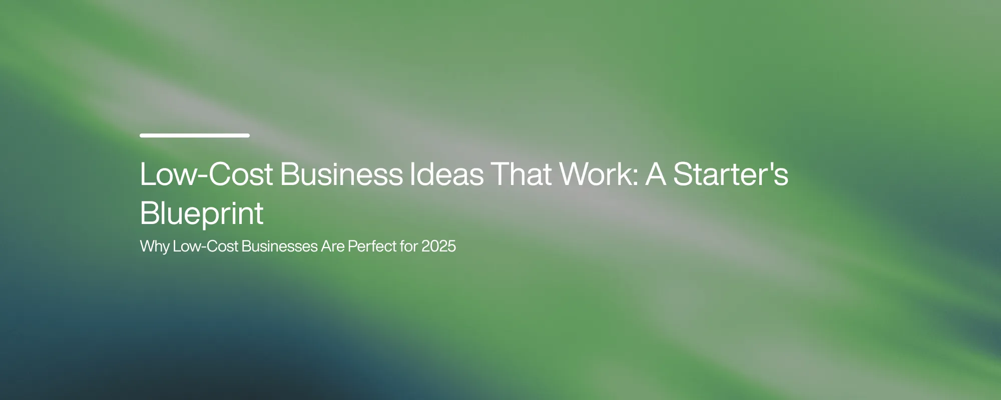 Cover image for Low-Cost Business Ideas That Work: A Starter's Blueprint