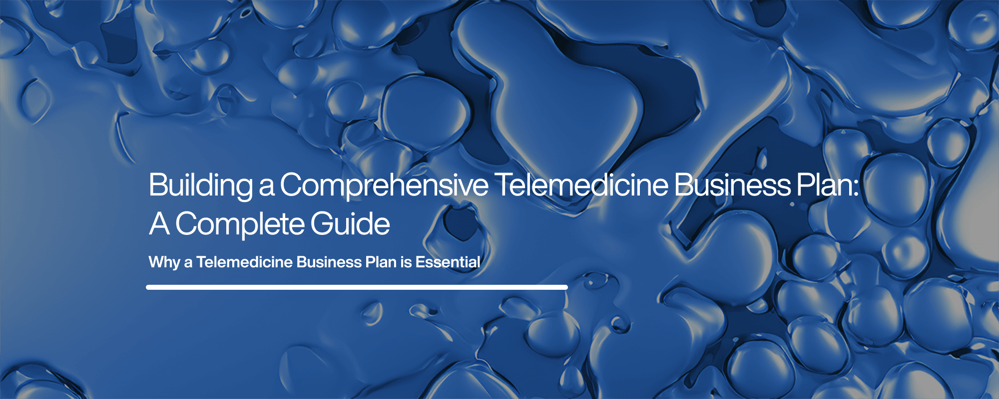 Cover image for Developing a Telemedicine Business Plan